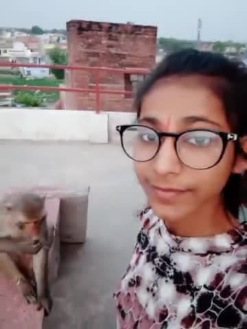 बाड़ी: #एक_पल_के_लिए_ही_सही_मगर_किसी_के_चेहरे_पर_मुस्कान_तो_बने 
#hungary_monkey  #monkeyfood #monkeyvideos #share🙏
@barinew