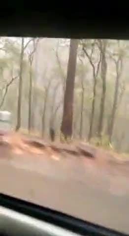 #पहाड़ से लेकर #भाबर तक खूब हुई #बारिश
#Bhimtal #dhari #okhalkhanda #Ramgarh
#Haldwani #Nainital #kaladhungi
#rain #शहर