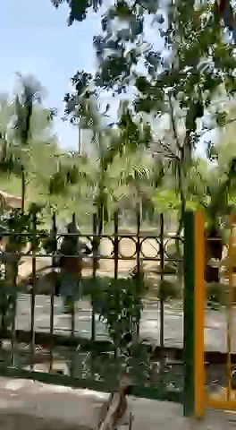 This park is adjoining Punjabi Bagh Club in the heart of Delhi. #coronacases #lockdaun