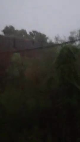 fir se aya mausam me badlaow bijle ke saath badalo ke awaz#weather#jharkhandvideo #jamshedpurweathers
