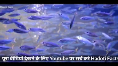 इसको देखने के लिए नसीब लगता हैं #HadotiFacts