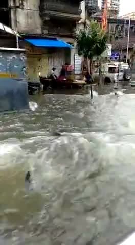 mumbai ke kai ilaako me barsaat ka pani bara Kuch is tarah dekha #mumbai_news #weather