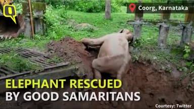 गड्ढे में फंसे हाथी को JCB ने निकाला बाहर
HELP ALL 🙏
#news #JCB #sintusharma #corona @sintusharma87 @national_news