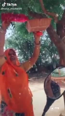 saif🥰🐦 bird's 😑#birdflu #publickipehel #indian_army @publicverified #publickipahal @india716