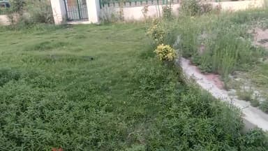 पंचकूला: पंचकूला के गांव बरवाला बस स्टैंड के सामने जो पार्क है उसकी हालत खस्ता हो रखी ।
#bjpindia
#panchkulanews