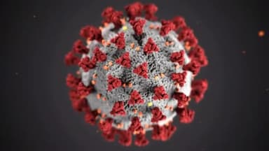 https://youtu.be/xA0NySEAKJg
#covid_vaccine #covidindia कोरोना के बाद नई बीमारी आई है पूरी देखे
चैनल सब्सक्राइब लाइक
