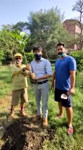 सरैया: #हर_व्यक्ति_हर_साल_एक_पौधा
#EachOnePlantOne
#oxygenplant #मिशन100करोड़वृक्ष