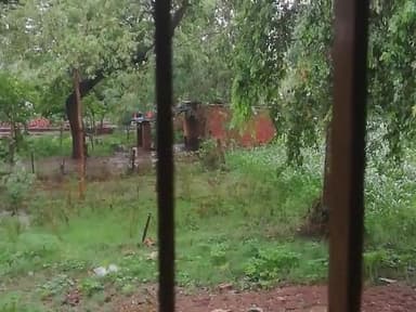 तिलौथू: बिहार में कल तक जोरदार बारिश होते रहेगा | बिहार मौसम विभाग के हवाले से खबर #yastoofan