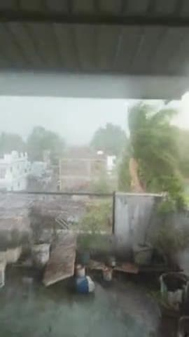 सिराली: nirali me tez varish
#वारिश का पहला पानी