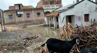 सड़क से ऊँचे नाले कई बार रिपेयरिंग के नाम पे उगाही का नतीजा जर्जर पड़ा ऐजनी पंचायत कचहरी भवन पानी मे तैरता हुआ ।
#ऐजनी