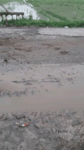 बहेरी: jale kamalpur road @##एनएचएआई