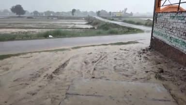 देेेवरिया: #यास तूफान की तबाही देवरिया जनपद में देखने को मिली किसानों की समस्या बड़ी खेतों में जलजमाव के कारण धान के बीज हुए नुकसान