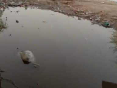 जगाधरी: #Gali no 4 Aazad Nagar ka h ye Haal Sb jagah paani hi paani #