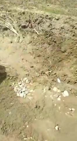 अफजलगढ़: #PMGSY के अंतर्गत बनने वाली सड़क  ग्रामीणों ने रुकवाई: लगाया घटिया सामग्री के प्रयोग का आरोप #रसूलपुरआबाद