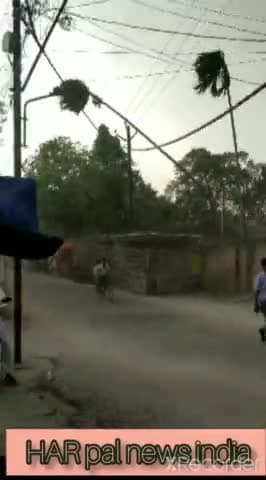 किशनगंज: किशनगंज मोहिउद्दीनपुर में बहुत तेज हवा चलने के कारण हाई वोल्टेज तार पर गिरा एक बड़ा पेड़
बड़ी घटना होते बची #kishaganj