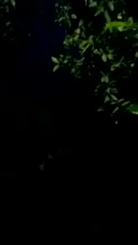 हाजीपुर: #breakinglive ⛈️ratt hui tej barrish aur tej aandhi ke sath hi lagatar Karak Rahi bijali.aur phir hui panni ki jammawat.