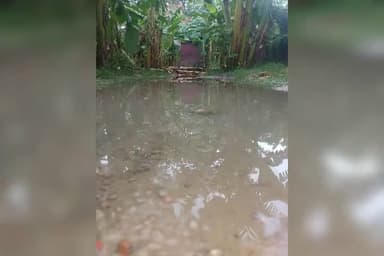 हाजीपुर: #breakinglive भारी बारिश से बेहाल हुआ sanchipatti ⛈️⛈️⛈️⛈️⛈️#livenewshajipur
रिपोर्ट देखे 🌩️🌧️☔🌪️🌩️🌩️