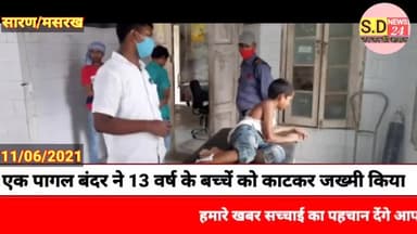 #सारन:एक पागल बंदर ने तेरह वर्ष के बच्चे को काटकर जख्मी किया।