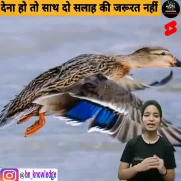 आओ हम सब मिलकर एक दूसरे का साथ दे #कोरोना_महामारी_को_हराए,#देश_से भगाएं
#मुस्कुराएगा_इंडिया
#कोरोना_हारेगा #भारत_जीतेगा