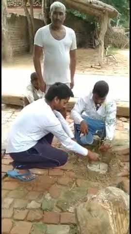 #बाराबंकी में #ग्राम_प्रधान अल्वा मऊ ने किया #वृक्षारोपण / #श्रवण_चौहान #फॉलो_करें