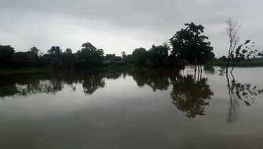चनपटिया: #Chanpatia
#west champaran #baritola gaon