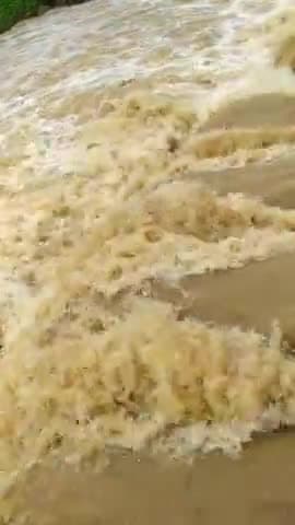 देवघर: देवघर के दरवा नदी की जलस्तर लगातार बढ़ रहे। आस पास के गांव मै पानी घुसने का खतरा।
#देवघर_न्यूज
#सुशिल_कुमार