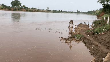 साईं खेड़ा: ३ बार शक्कर नदी का जल स्तर बदता हुआ #gadatwara