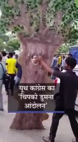 *#चिपको_डुमना आंदोलन* जबलपुर से #यूथ_कांग्रेस उतरी " *जन , जंगल , ज़मीन* " की लड़ाई में । - विक्रांत भूरिया