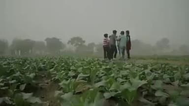 तेज बर्षा , आसमानी बिजली की चमक से अपने भी सुरक्षित रहे दूसरो को भी सुरक्षित रहने को बोले #बर्षा