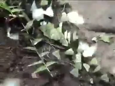 ग्रामीण अर्थव्यवस्था, ग्रामीण शिक्षा व स्वास्थ्य को उन्नत बनाकर भारत को सोने की चिड़िया बनाना जा सकता है। #9931018391.