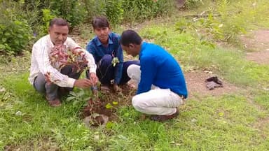 #बकानी
राजकीय प्राथमिक विद्यालय गणेशपुरा में वृक्षारोपण कार्य किया गया।
