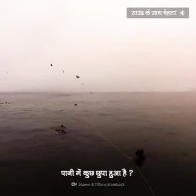 क्या हो अगर #विसाल #व्हेलमछली आपको निगल ले !
#रोचकतथ्य
#फॉलो करें
#शेयरकरे
#अमरजैसवाल