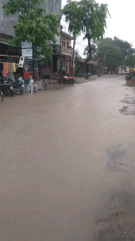 @nitishkumar
@Dmnawalkishor
@#dmgopalganj
सिपाया ढ़ाला कुचायकोट मुख्य मार्ग जो नाला मे तब्दील।।क्या यही है बिकास।।#cmo