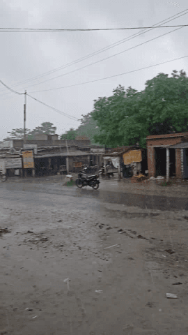 मरवन: मुजफ्फरपुर में हो रही है तेज बारिश किसान है प्रशान, सब्जी व्यापारियों को भारी नुकसान#pablicapp #muzaffarpurnews
