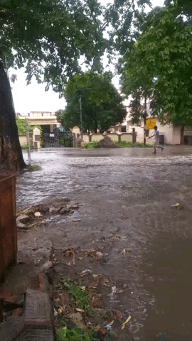 हल्द्वानी: Ward 58, Suyal Colony Gali No. 3..
Ye hai haal Hai Shuruwati Baarish me....Picture Abhi baaki hai...
#NagarNigamHaldwani
