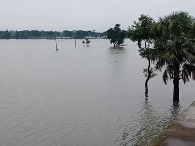 मोतिहारी: सिसवा पूर्वी मोतीहारी बाढ़ बहुत तेजी से आ चुकी है #सिसवा