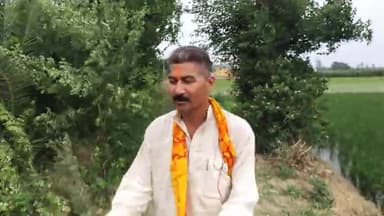 🚩🌹👏देखिए कैसे ?
तेज #हवा चलने से आम के पक्के फल और कई किलो मीठी #खजूर जड़ गई