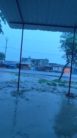 फारबिसगंज: #फारबिसगंज एफ सीआई चौक में तेज बारिश हुई
07/07/2021