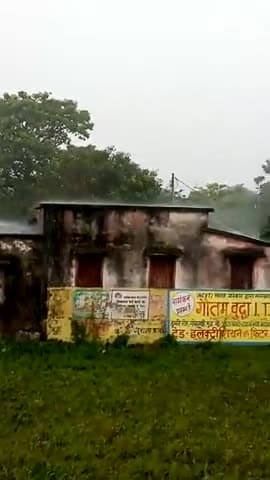 मरवन: #Lagatar Baris hone se dhan ki bij kharab hone se dhan Ki Fasal is bar nahi Hui hai@news #####pablicapp##marwan live