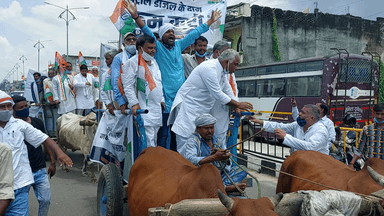 बेतहाशा कमरतोड़ महंगाई के विरोध में बैलगाड़ी यात्रा करते!
माननीय प्रियंका के आव्हान पर प्रदेश व्यापी आंदोलन!
#विधानसभा_