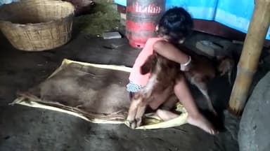 खेलती हुई #Kiara
#nitishmandal