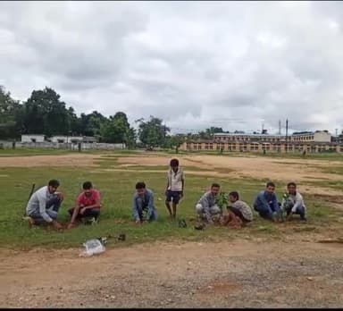 अंबिकापुर: बीजेपी सरगुजा संभाग के संस्थापक सवर्गी पंडित रेवती रमण मिश्र जी के पुण्यतिथि पर युवा मोर्चा द्वारा बृक्षारोपण#sarguja