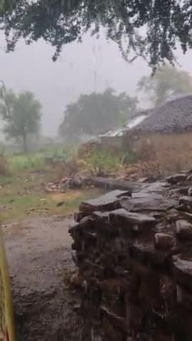 पथरिया: बारिश क्या हुई किसान झूम उठे दमोह जिले में हुई झमाझम बारिश
#Shankar #Raikwar
#shonakiya #shahpur