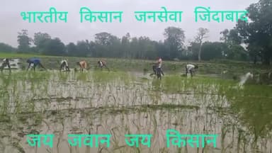 मेरे देश की धरती सोना उगले..
#भारतीय_किसान_जनसेवा
#जय_जवान_जय_किसान
@mr.sssingh86