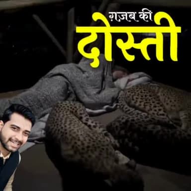 तेंदुओं से दोस्ती देखी है कभी?
दातों तले उंगली दबाने को तैयार हो जाइये ..
#iamashu #friends #friendship #dosti #jungle