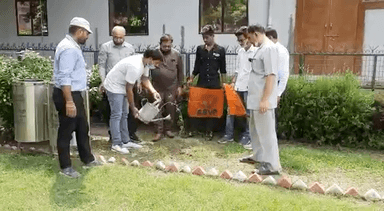 अखिल भारतीय विद्यार्थी परिषद अलीगढ़ महानगर द्वारा एसवी कोलेज में वृक्षारोपण किया गया।
#जय_यादव