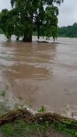 चन्द्रपुरा: #दामोदर नदी का जल स्तर बढ़ा
#