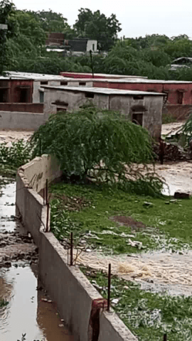 पोहरी: #pohari me barish se tbahi