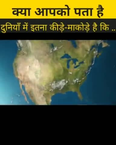 दुनिया में इतने कीड़े हैं कि मुकेश अंबानी के घर में #facts #b2walagyan #funfacts #funny #fact #hindi #reels #sexyfacts