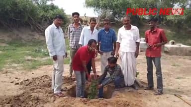 #पौधरोपण किया।
ग्राम पंचायत मोतीसरा सरपंच फतेह सिंह डाबली ने 200 पौधे ग्राम पंचायत पर खरीदे,जिसमे से आज श्मशान घाट भूमि